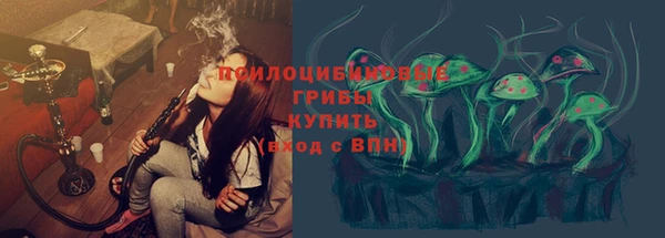 гашик Михайлов
