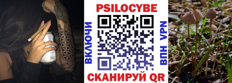 Псилоцибиновые грибы Cubensis  купить наркотики сайты  Тавда 
