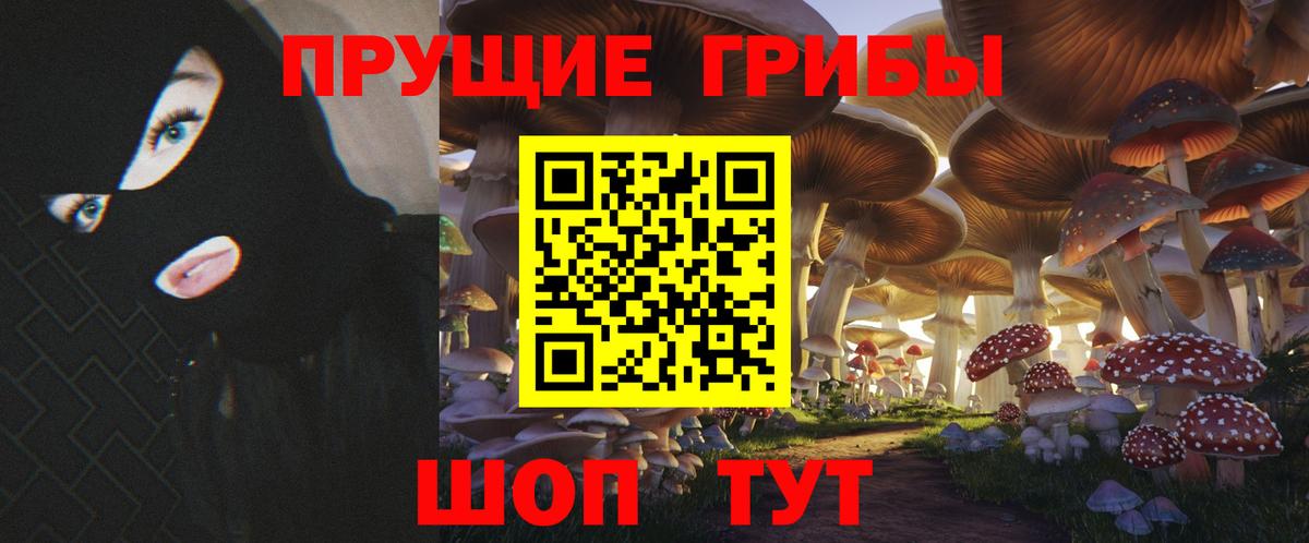 цены наркотик  Псилоцибиновые грибы Psilocybine cubensis  Вход с VPN  Тавда  Галлюциногенные грибы мицелий 