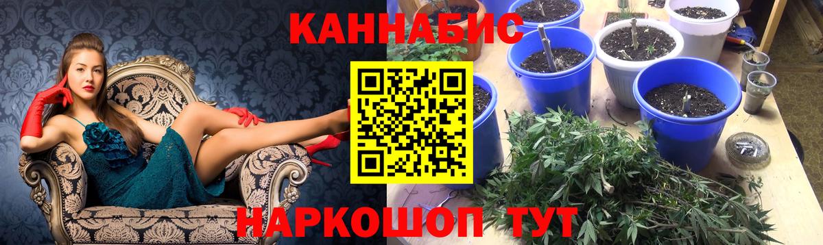 Бошки марихуана Bruce Banner Тавда